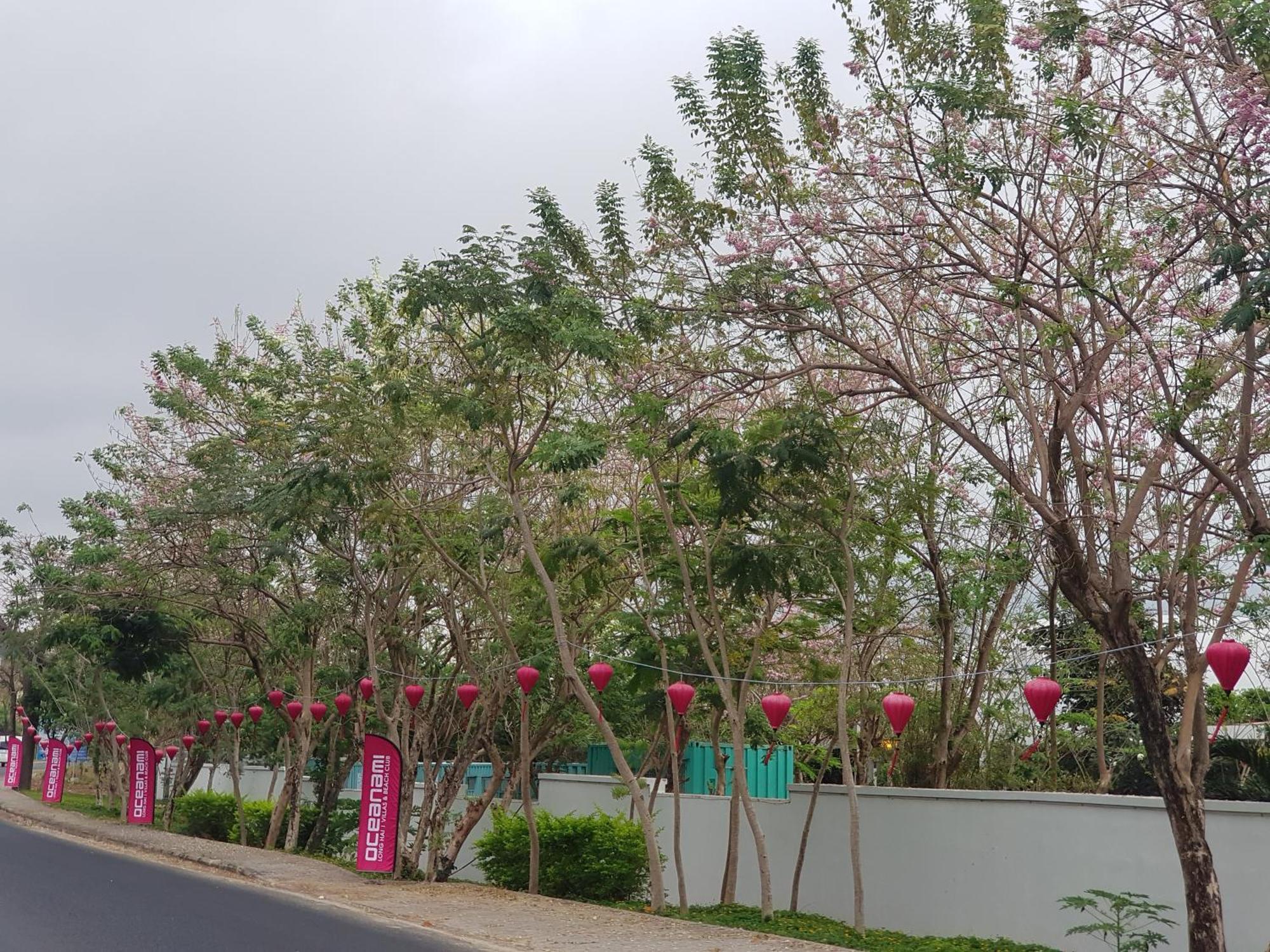 Oceanami Resort Sea View Long Hai Exterior foto