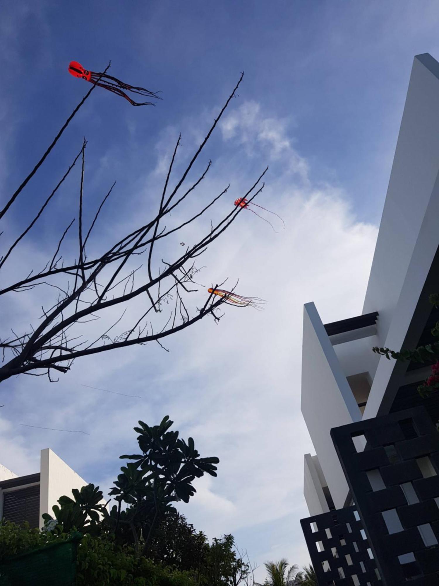 Oceanami Resort Sea View Long Hai Exterior foto